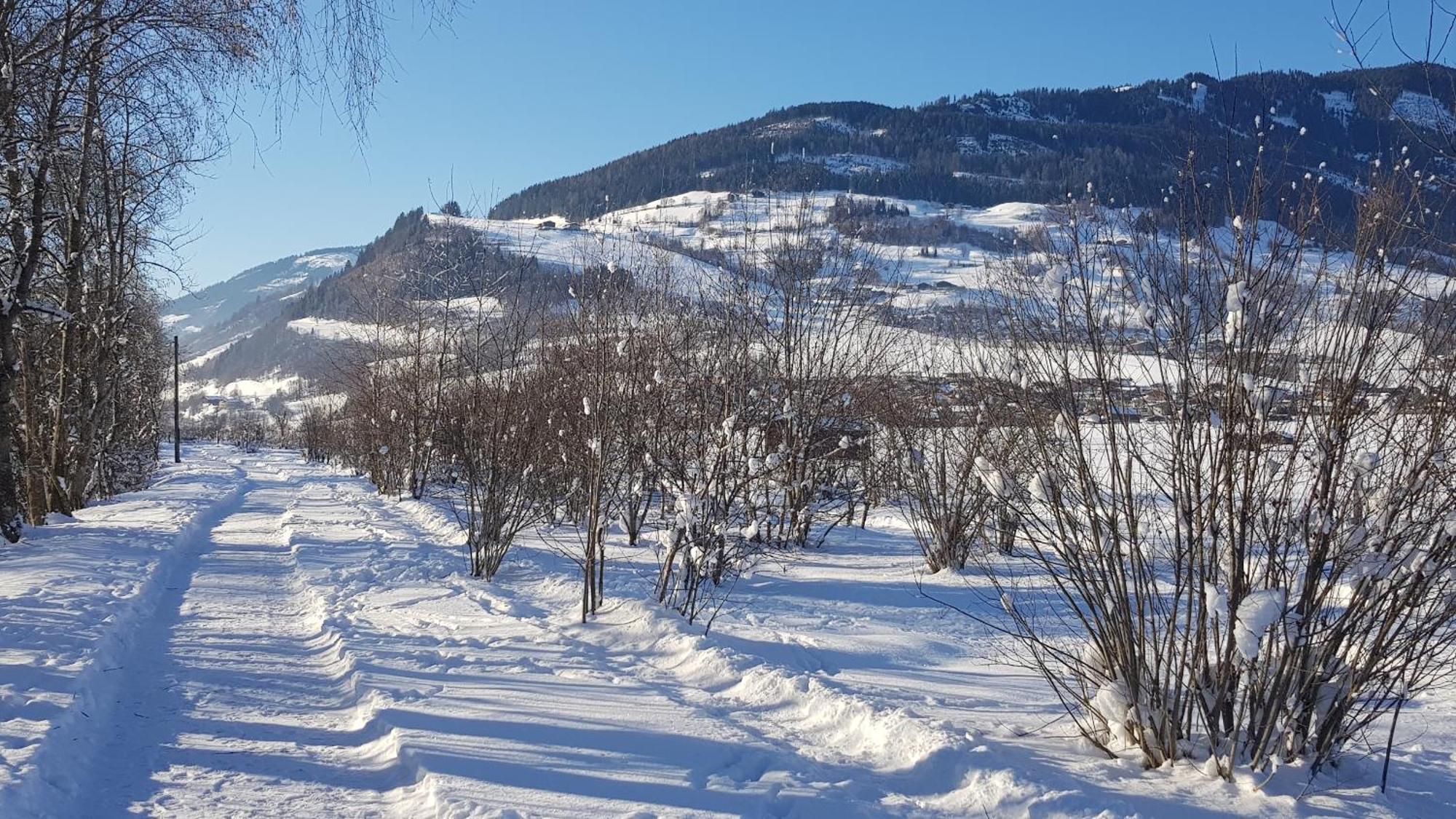 Chalet Am Park 皮森多夫 客房 照片
